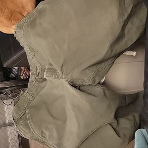 Carhartt 14806 pants